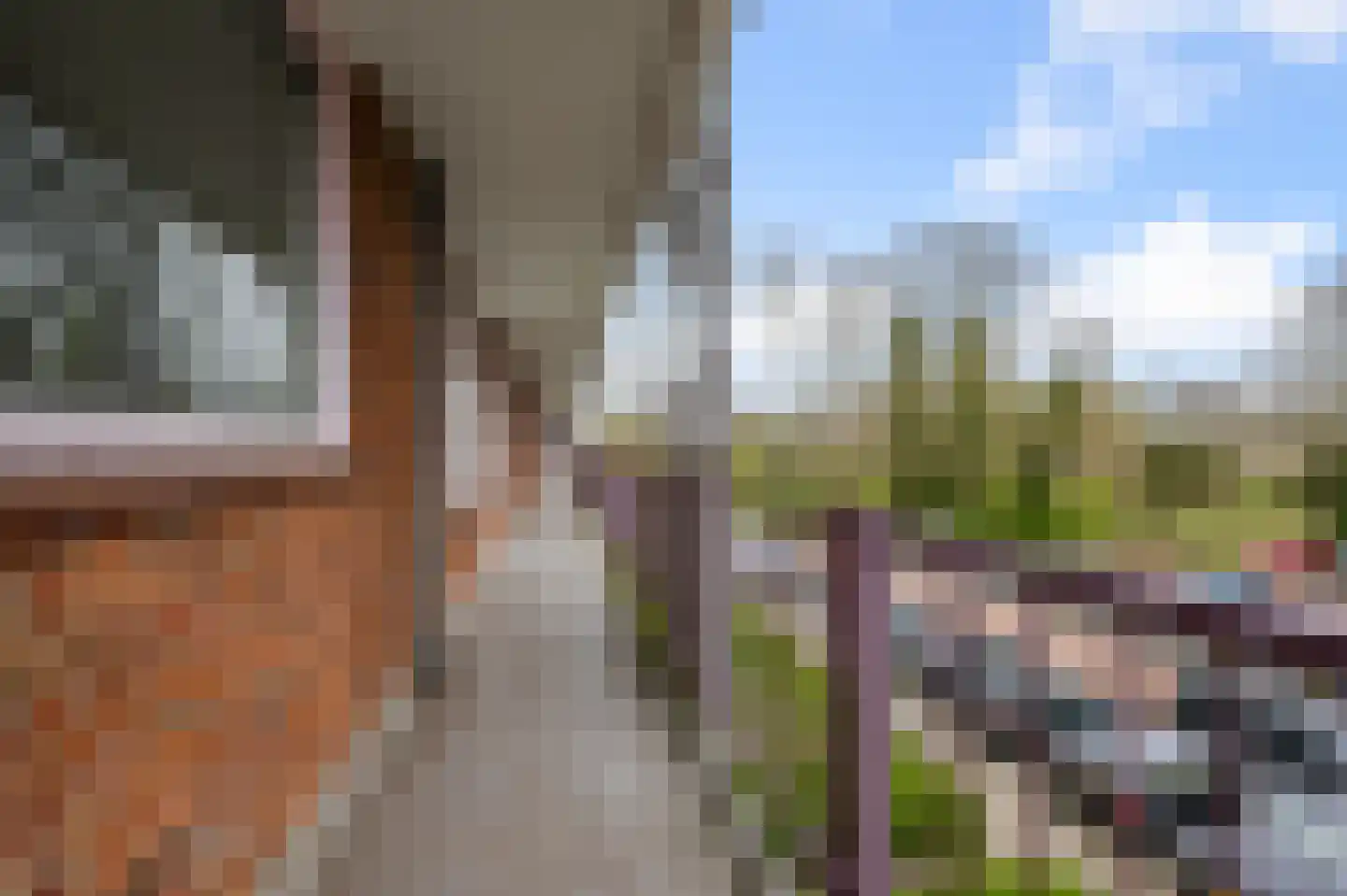 Leverkruidweg 327 Zaandam thumbnail 6