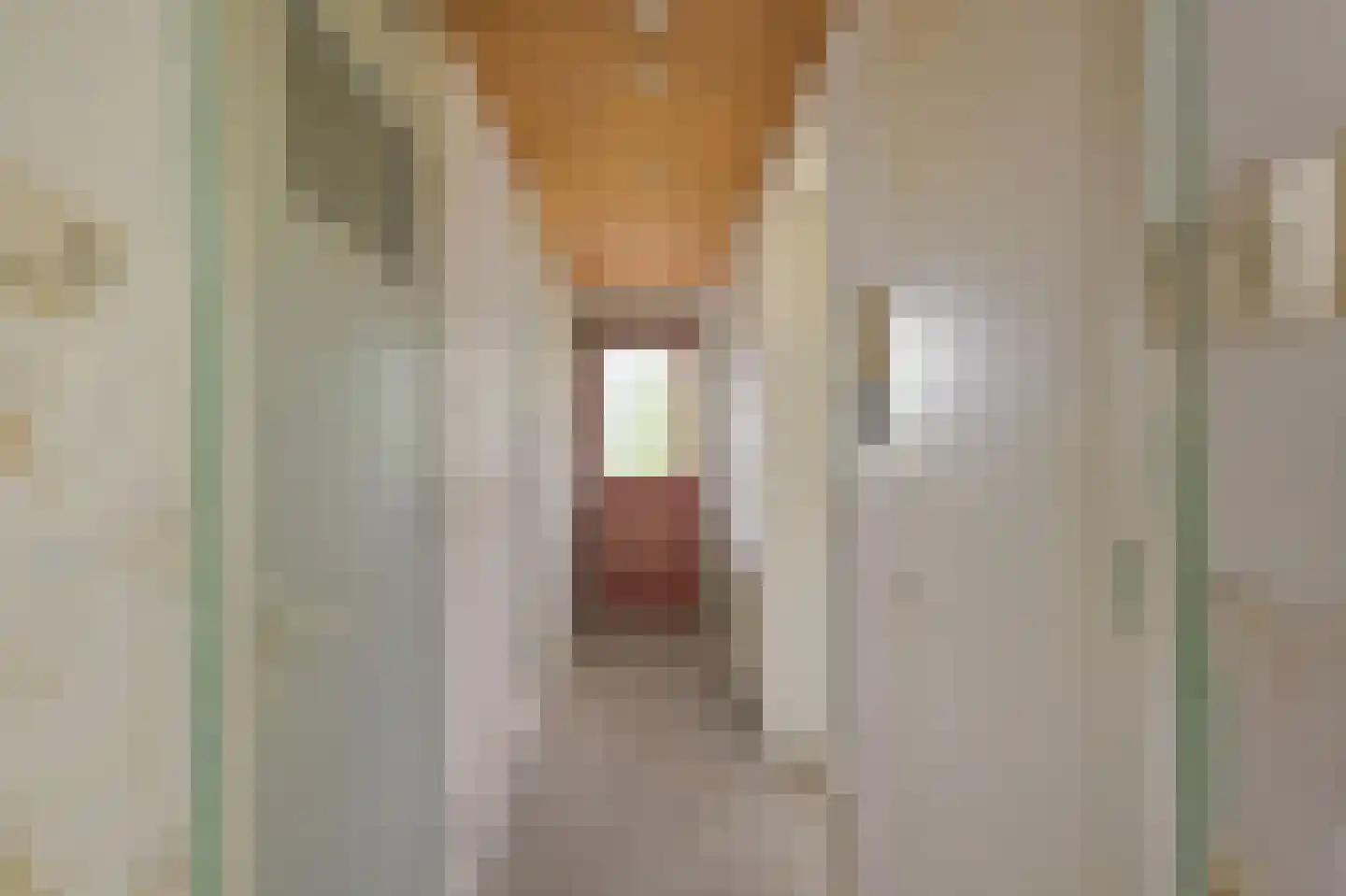 Leverkruidweg 35 Zaandam thumbnail 13