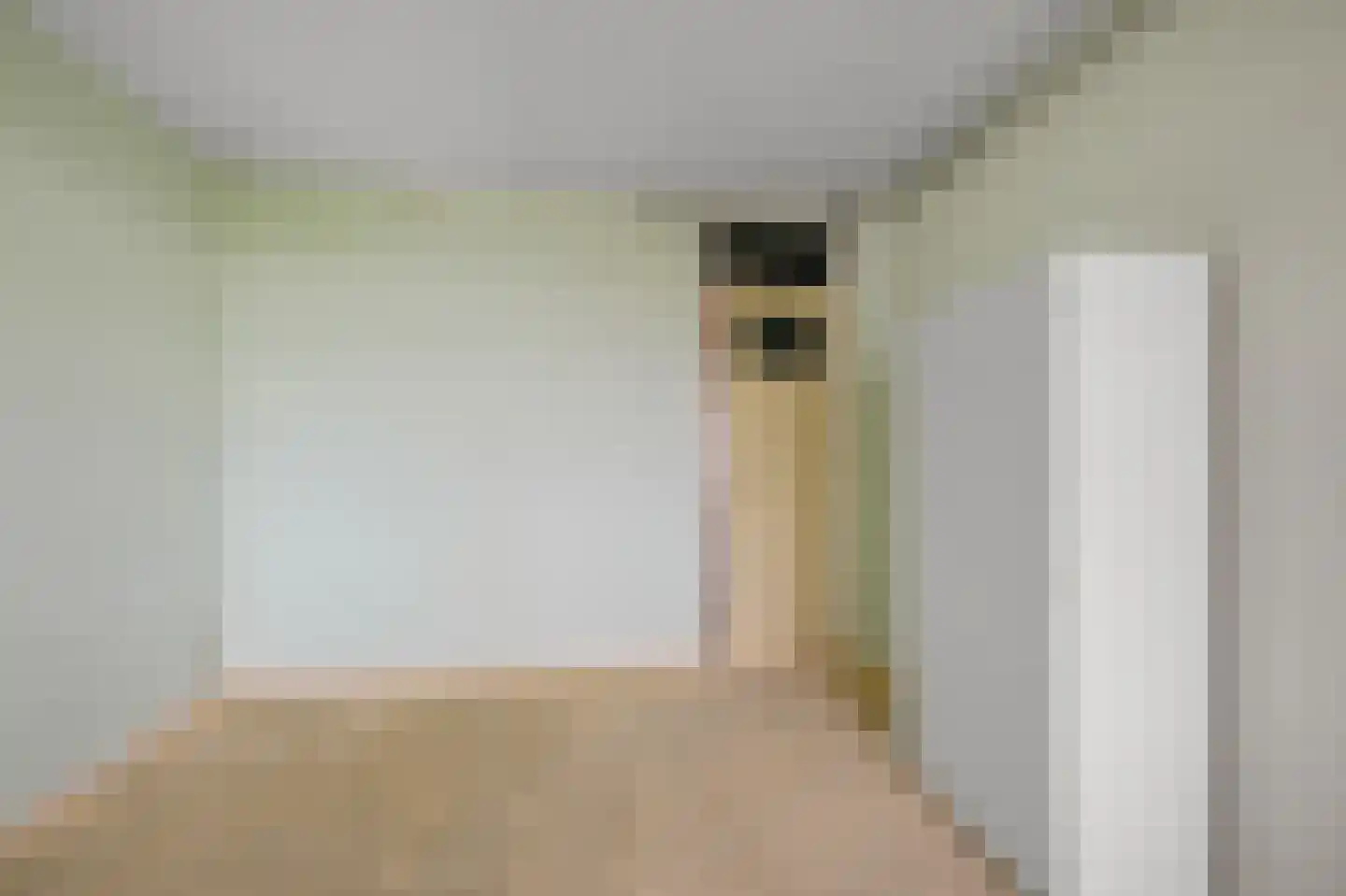 Leverkruidweg 35 Zaandam thumbnail 20