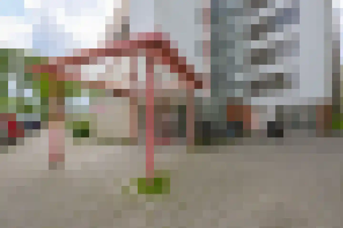 Leverkruidweg 35 Zaandam thumbnail 4