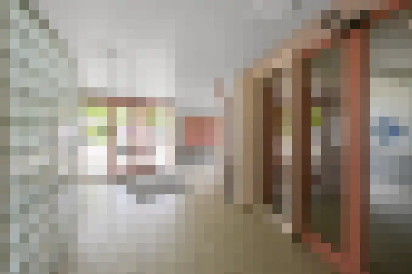 Leverkruidweg 35 Zaandam thumbnail 5