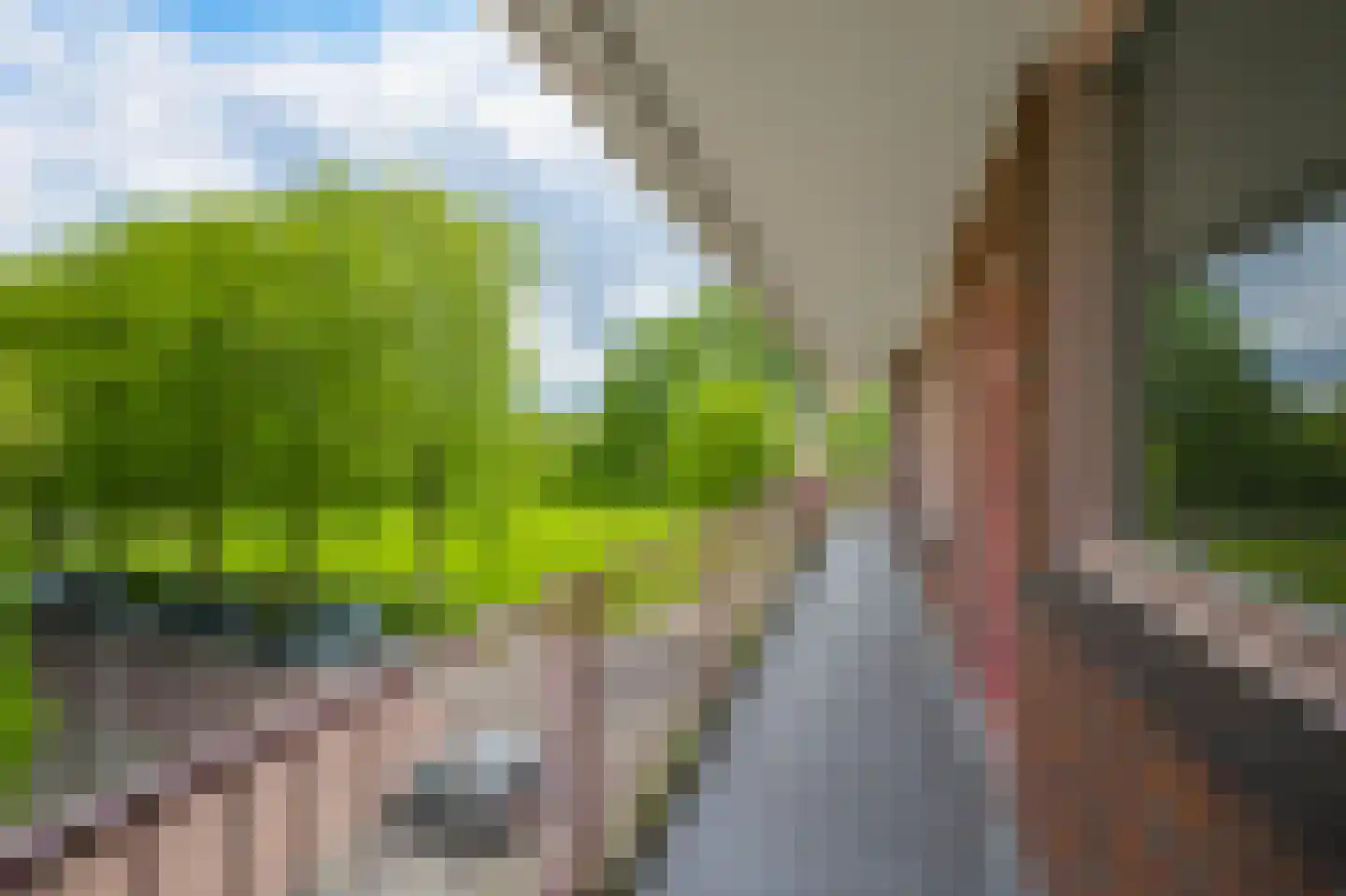 Leverkruidweg 35 Zaandam thumbnail 6
