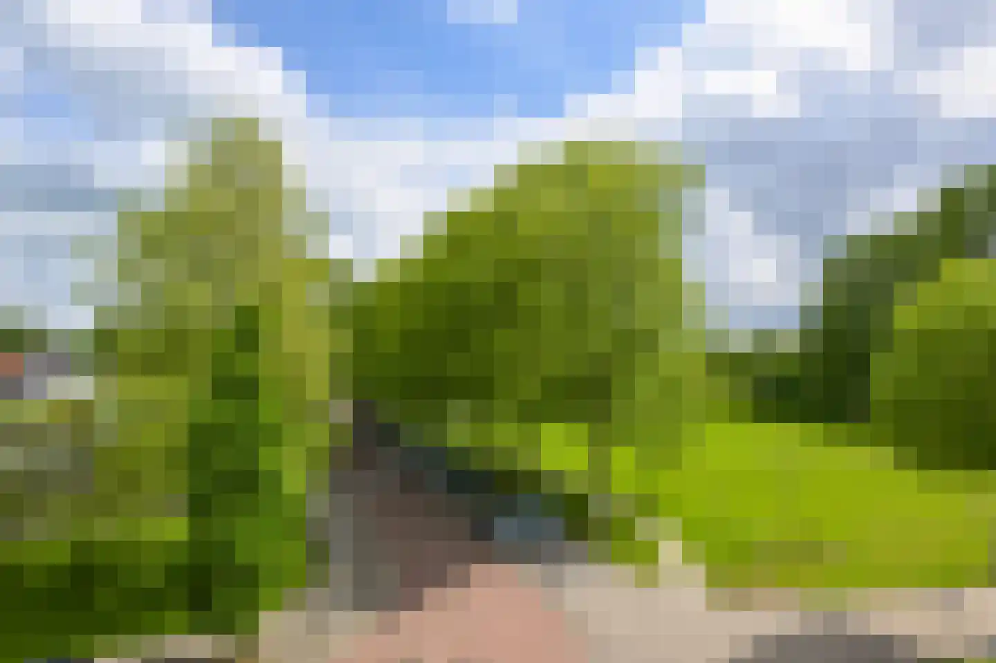 Leverkruidweg 35 Zaandam thumbnail 7