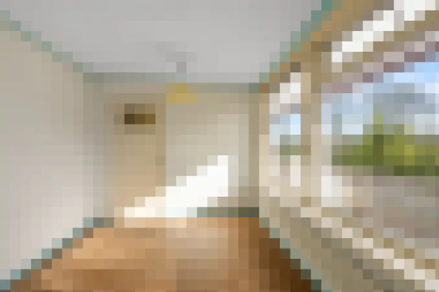 Leverkruidweg 367 Zaandam thumbnail 13