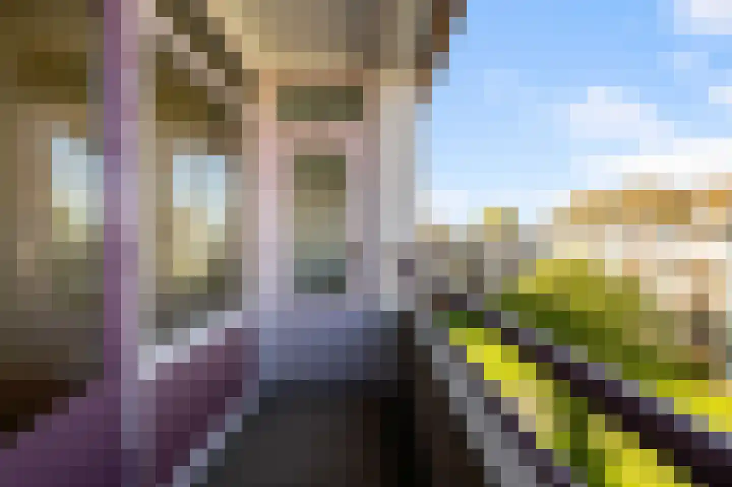 Leverkruidweg 367 Zaandam thumbnail 23