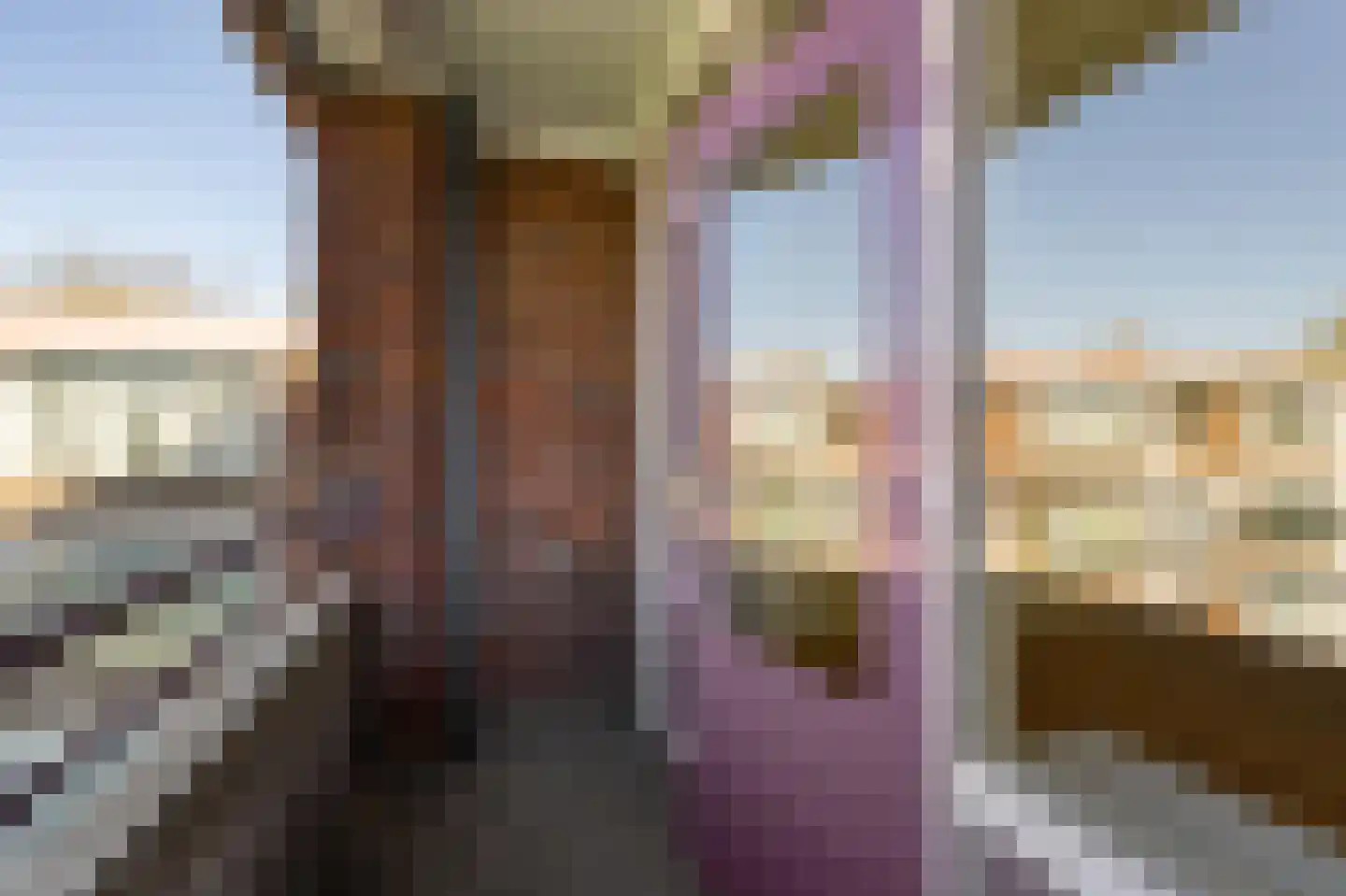 Leverkruidweg 367 Zaandam thumbnail 24
