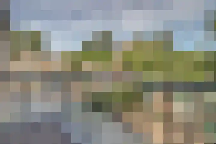 Leverkruidweg 38 Zaandam thumbnail 28