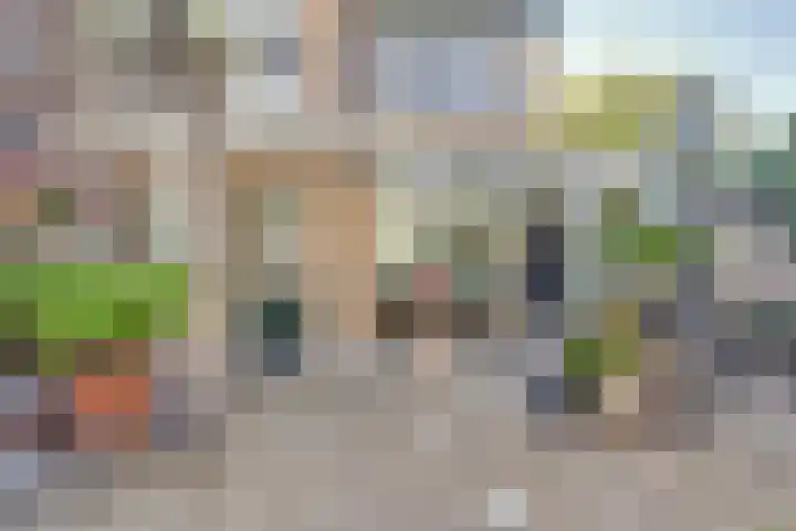 Leverkruidweg 38 Zaandam thumbnail 42
