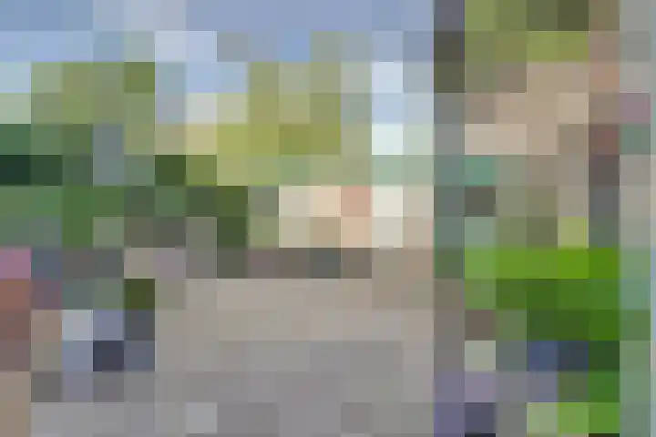 Leverkruidweg 38 Zaandam thumbnail 44