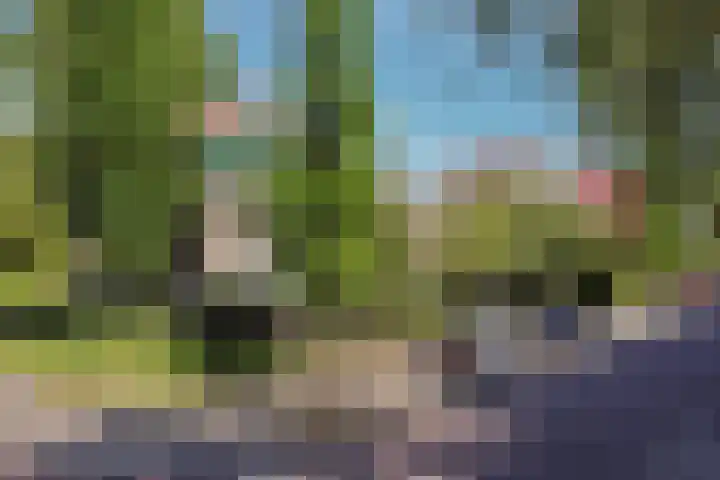 Leverkruidweg 38 Zaandam thumbnail 48