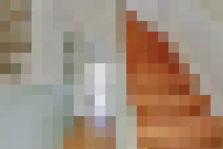 Leverkruidweg 38 Zaandam thumbnail 8