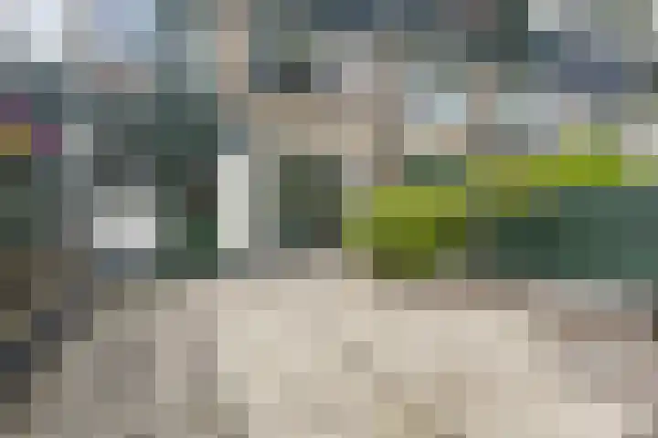 Leverkruidweg 42 Zaandam thumbnail 13
