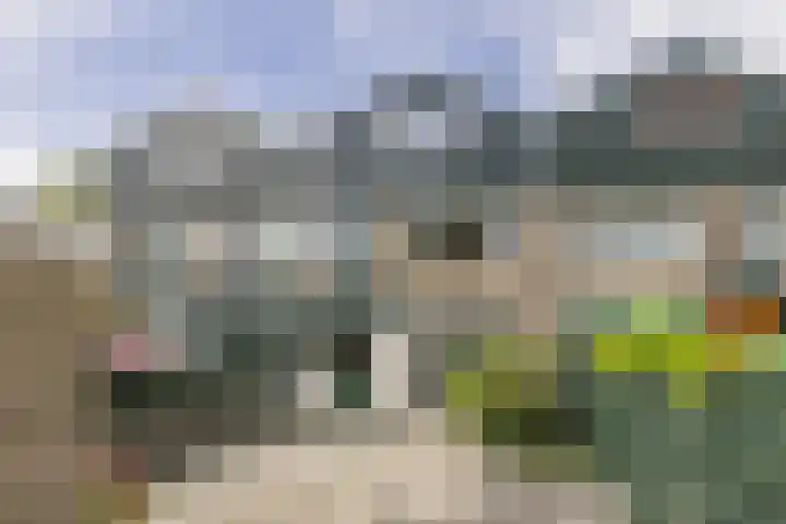 Leverkruidweg 42 Zaandam thumbnail 14