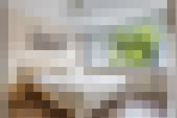 Leverkruidweg 42 Zaandam thumbnail 20