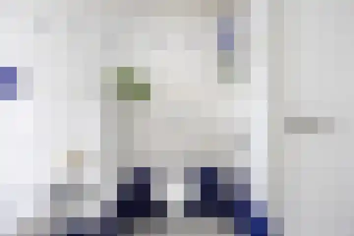 Leverkruidweg 42 Zaandam thumbnail 23