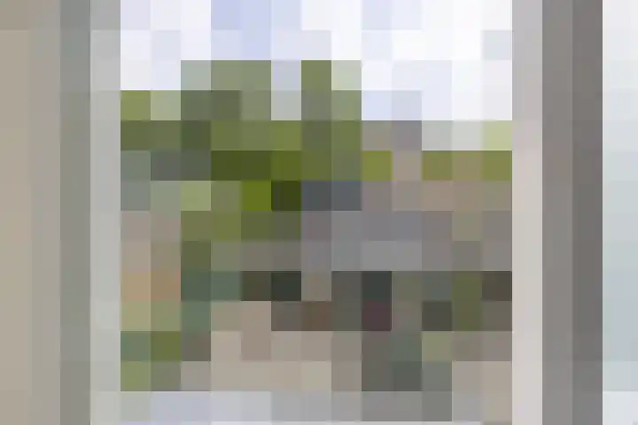 Leverkruidweg 42 Zaandam thumbnail 25
