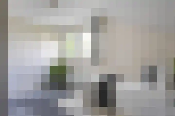 Leverkruidweg 42 Zaandam thumbnail 28