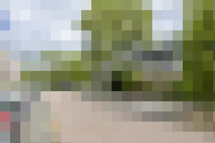 Leverkruidweg 42 Zaandam thumbnail 30