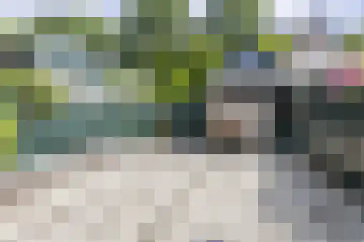 Leverkruidweg 42 Zaandam thumbnail 4
