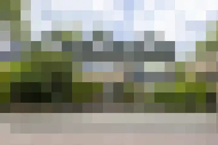 Leverkruidweg 42 Zaandam thumbnail 5