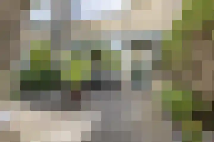 Leverkruidweg 42 Zaandam thumbnail 6