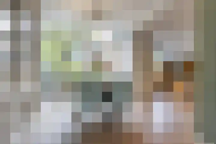 Leverkruidweg 42 Zaandam thumbnail 9
