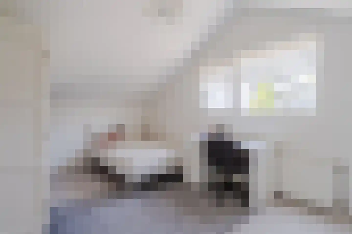 Leverkruidweg 48 Zaandam thumbnail 27