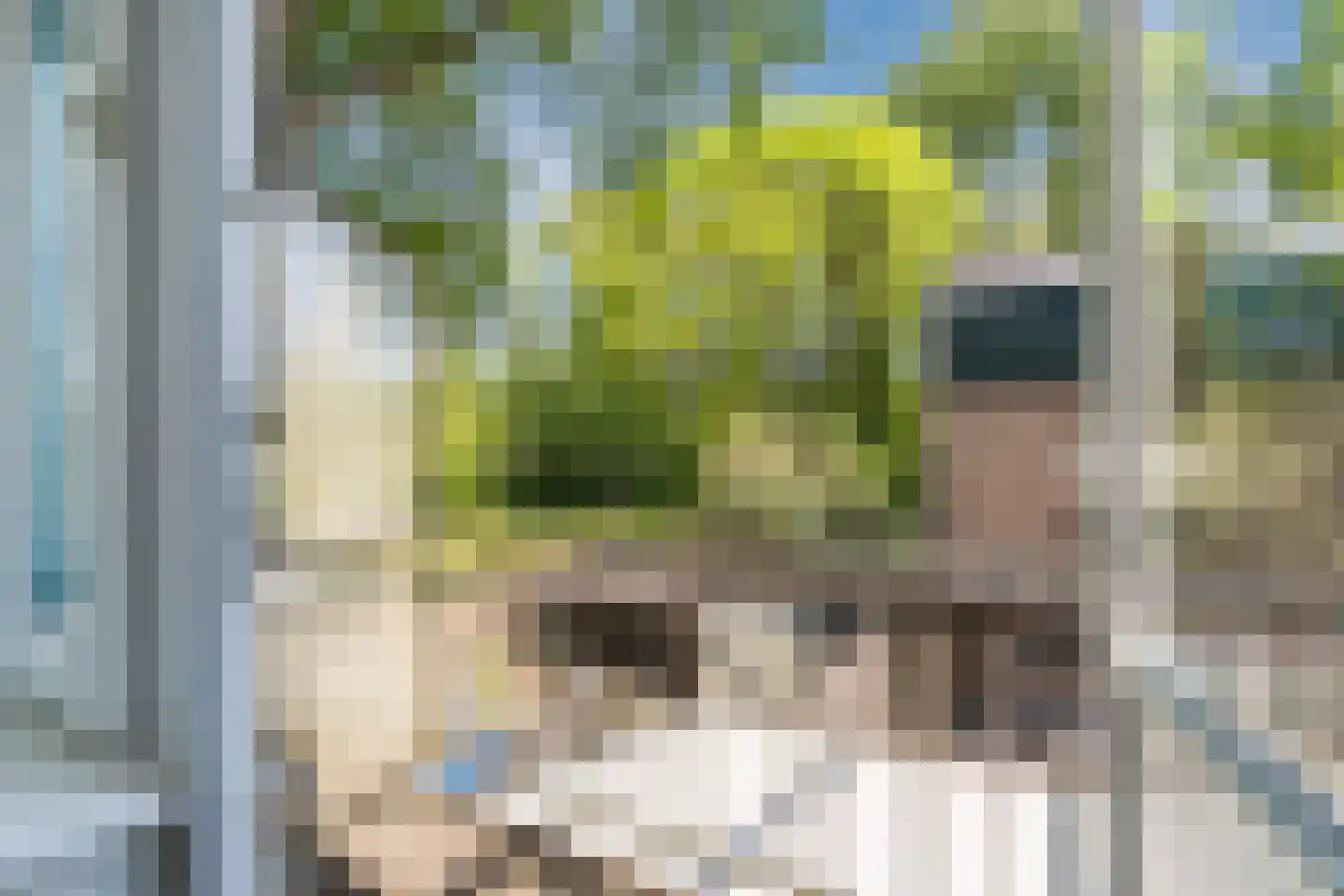 Leverkruidweg 48 Zaandam thumbnail 32