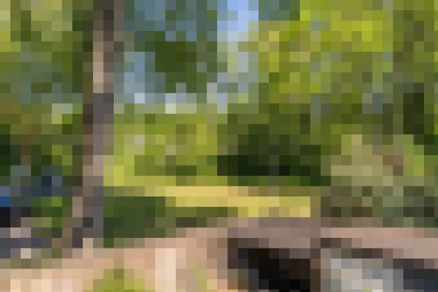 Leverkruidweg 48 Zaandam thumbnail 33