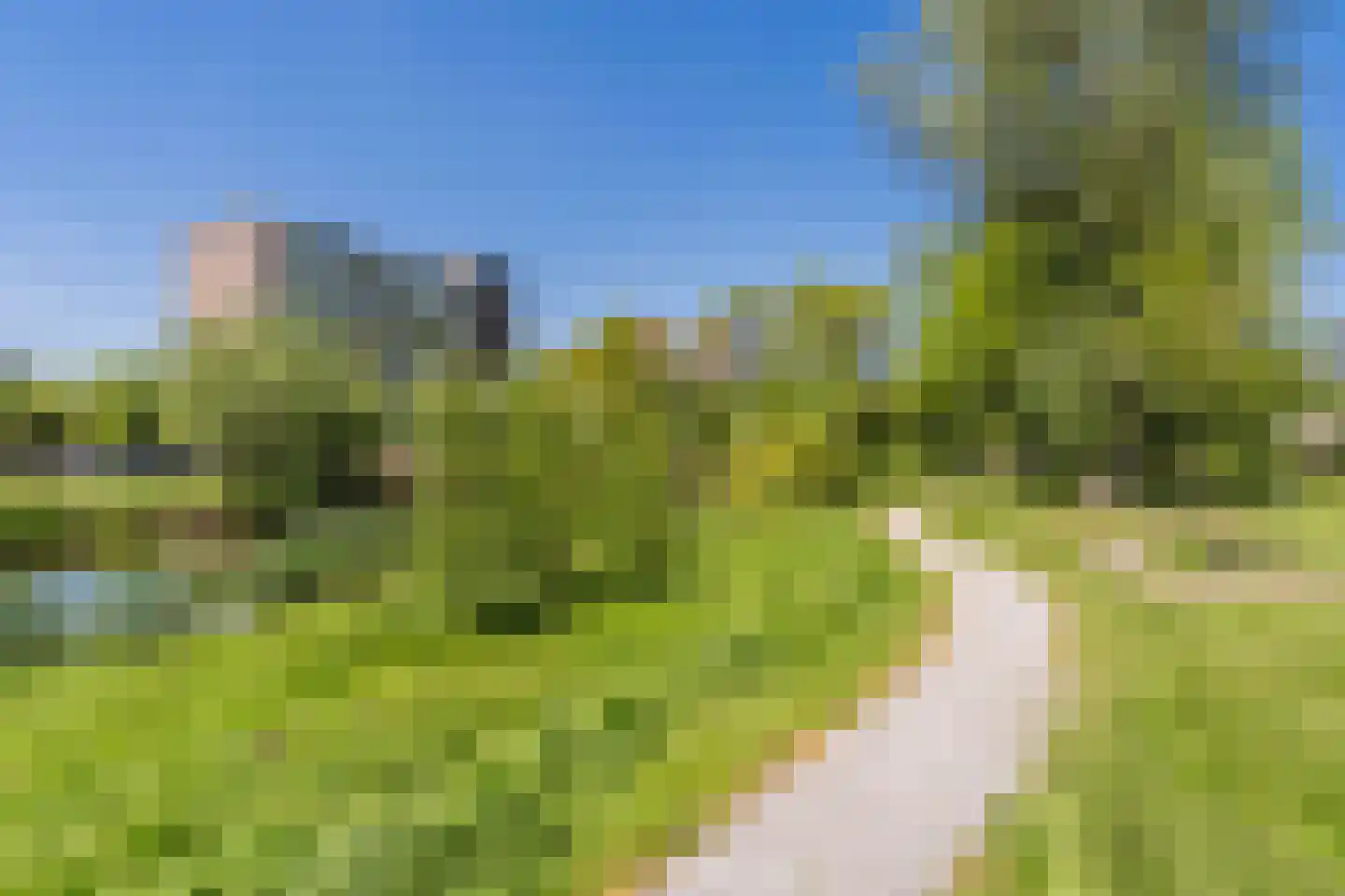 Leverkruidweg 48 Zaandam thumbnail 42