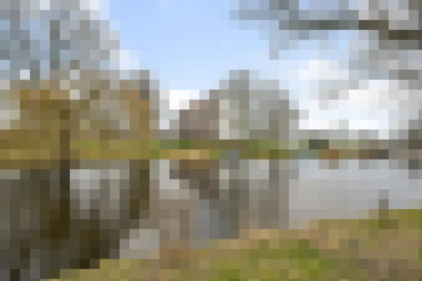 Leverkruidweg 49 Zaandam thumbnail 22