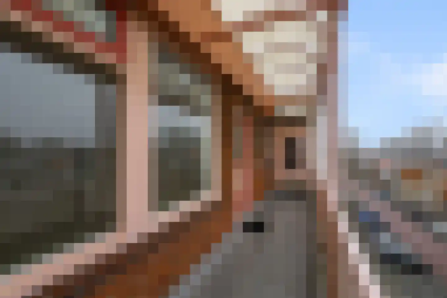 Leverkruidweg 49 Zaandam thumbnail 5