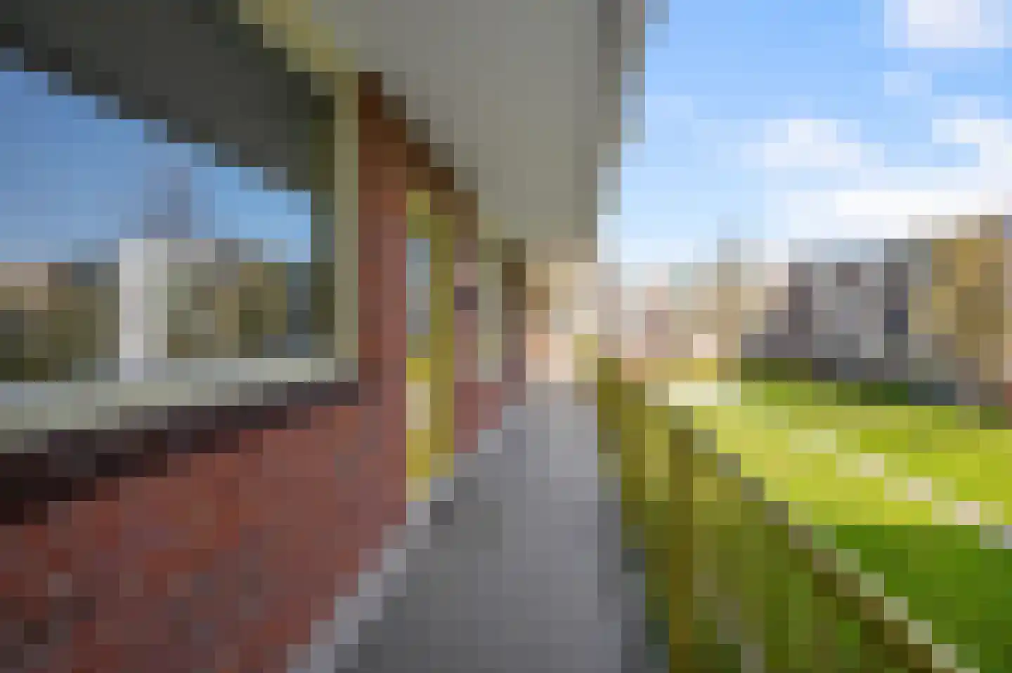 Leverkruidweg 97 Zaandam thumbnail 24