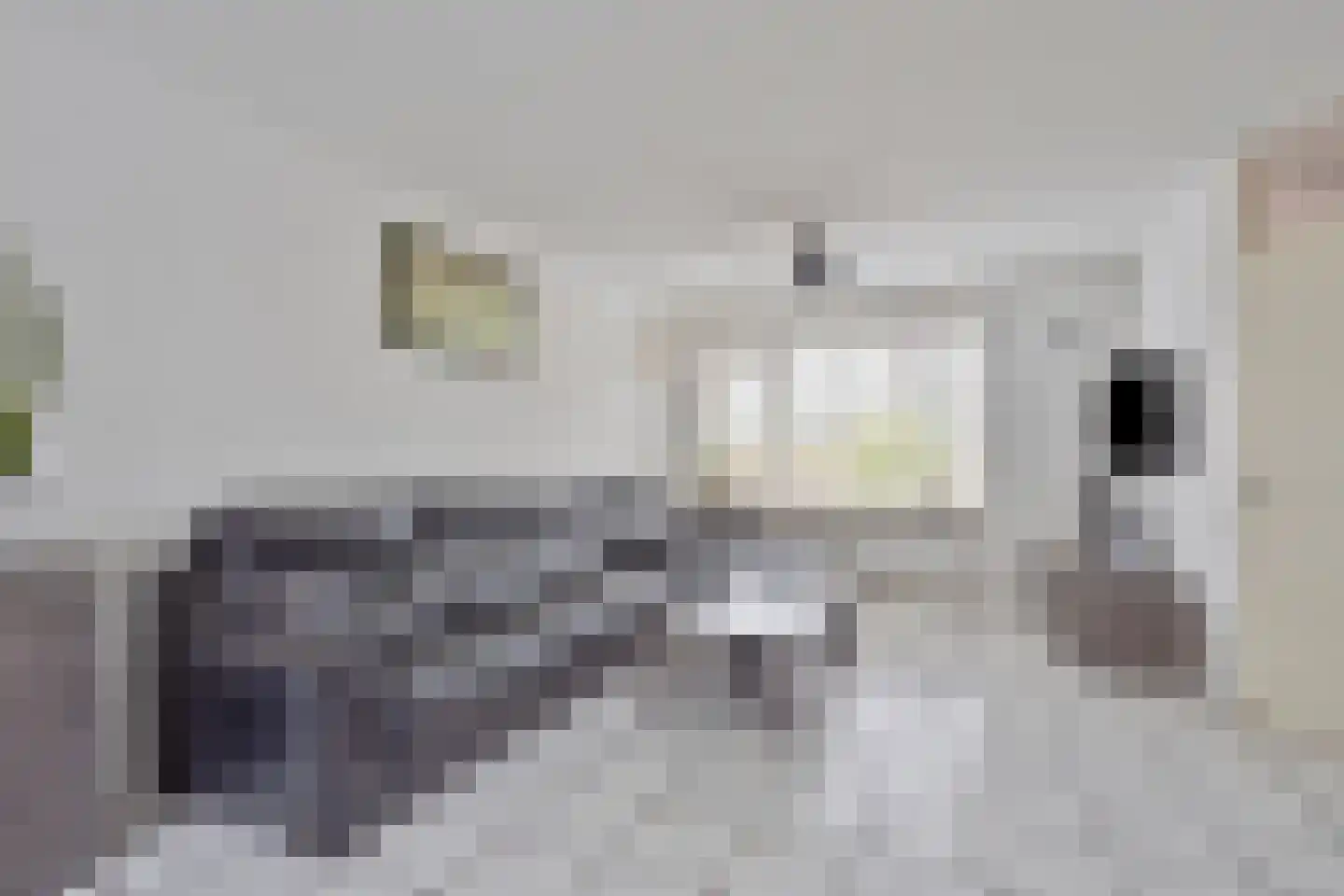 Levermosstraat 60 Purmerend thumbnail 6