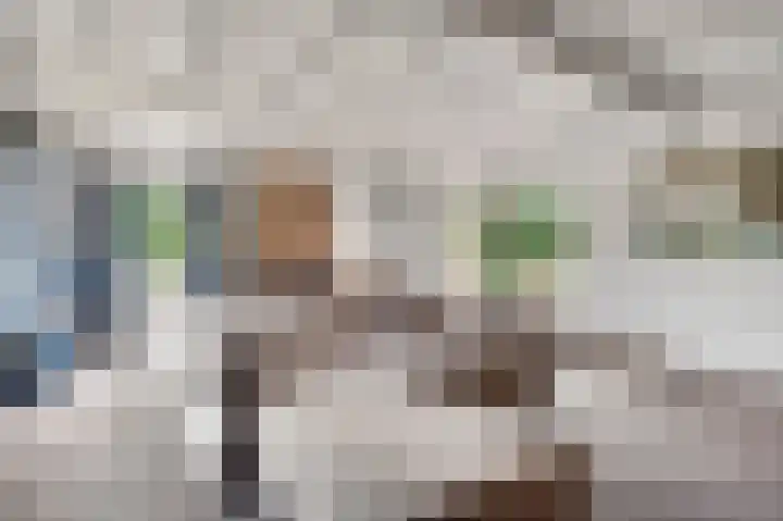 Leveroyseweg 25 Heythuysen thumbnail 10