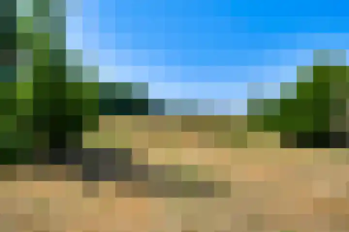 Leveroyseweg 25 Heythuysen thumbnail 40