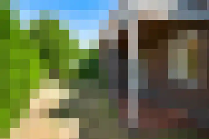 Leveroyseweg 25 Heythuysen thumbnail 42