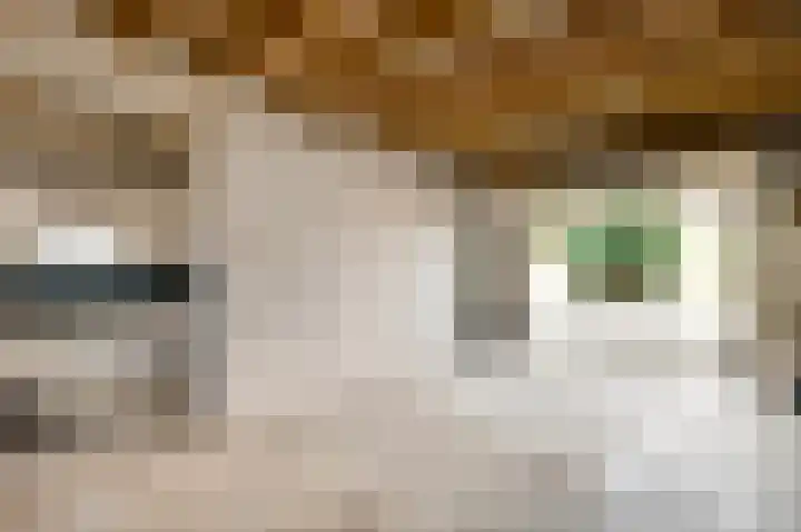 Leveroyseweg 25 Heythuysen thumbnail 43