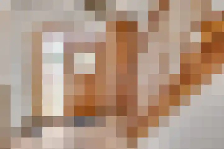 Leveroyseweg 25 Heythuysen thumbnail 5