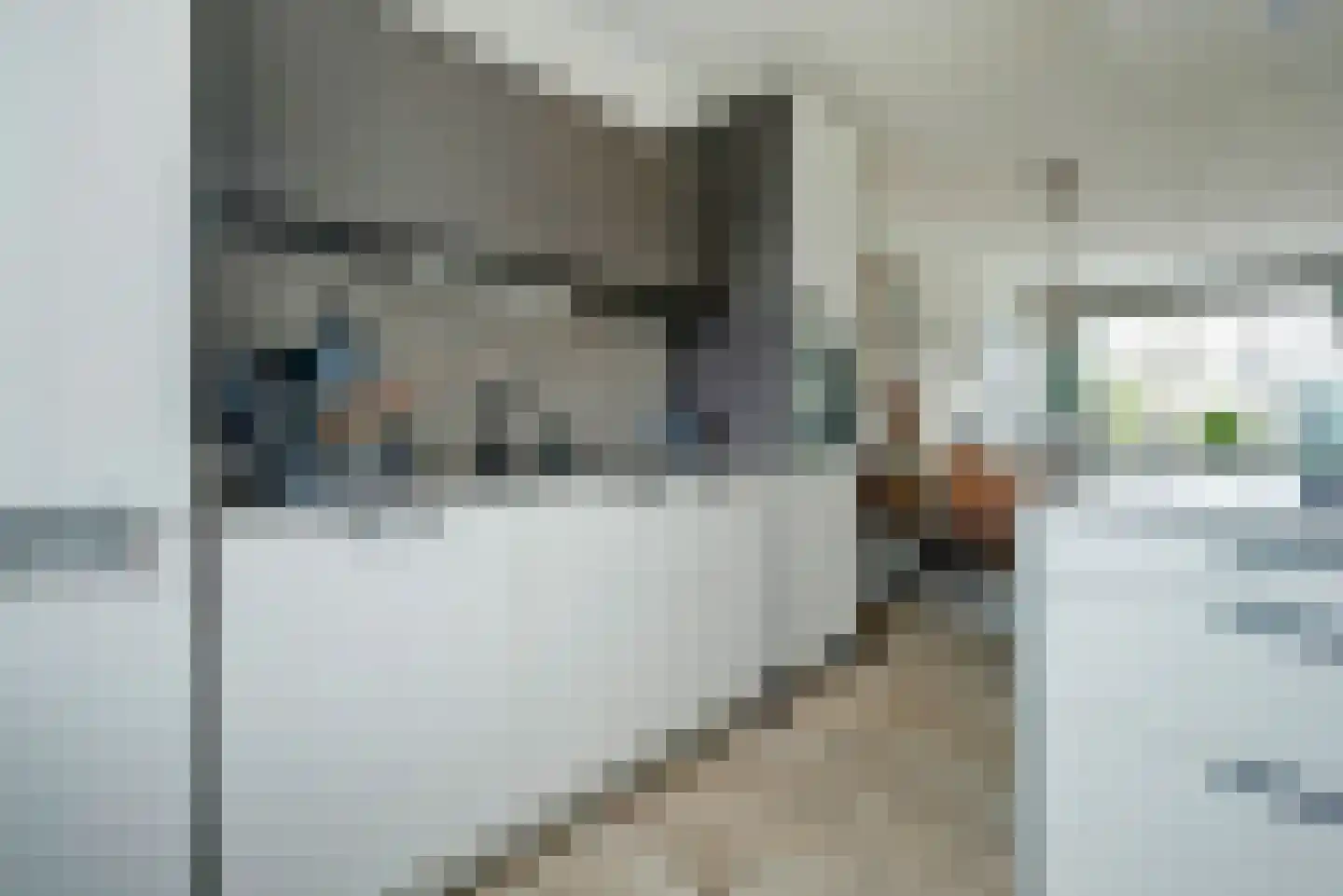 Leviestraat 21 Zuidland thumbnail 12
