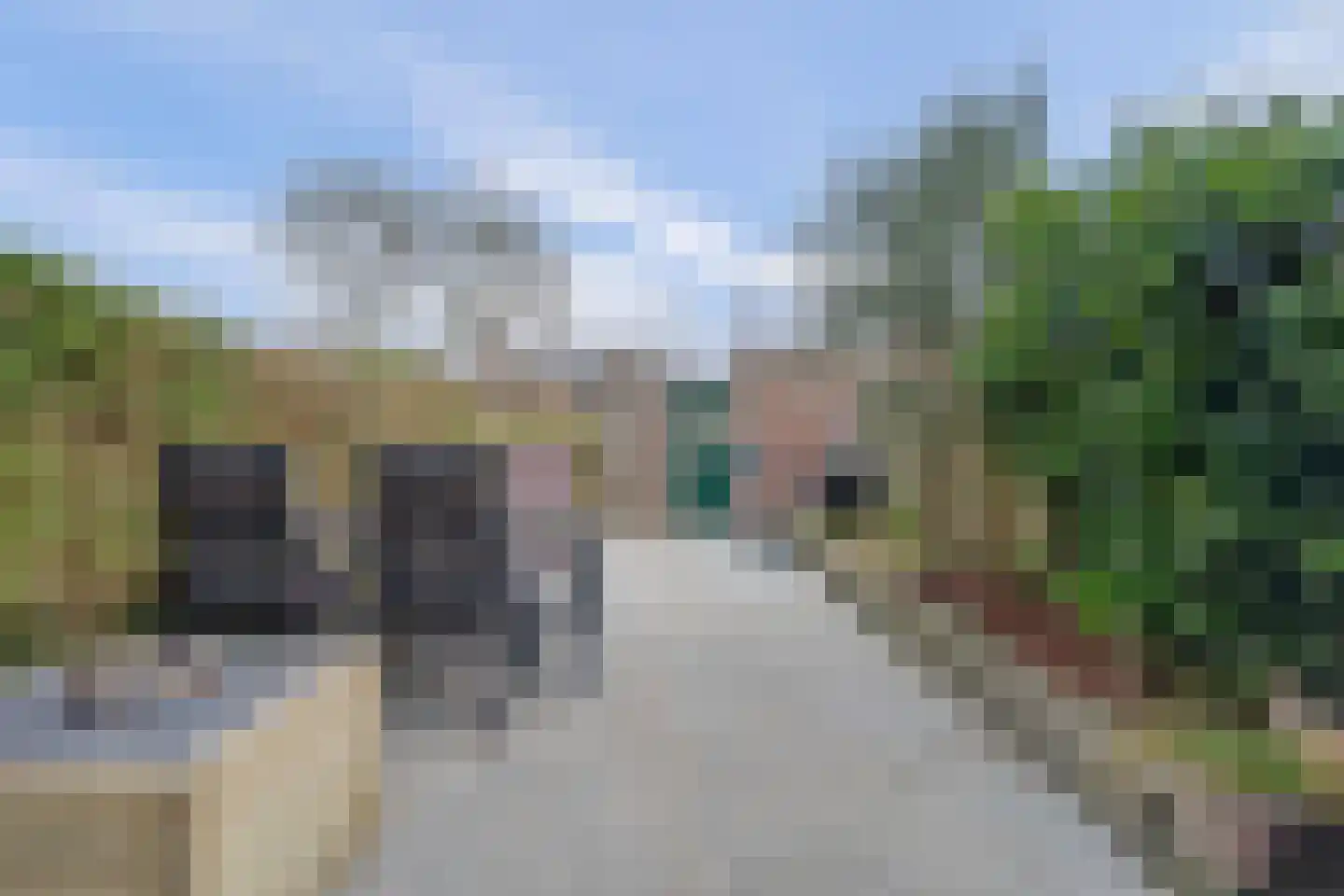 Leviestraat 21 Zuidland thumbnail 28