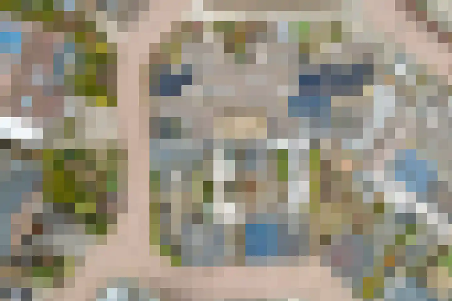 Leviestraat 21 Zuidland thumbnail 34
