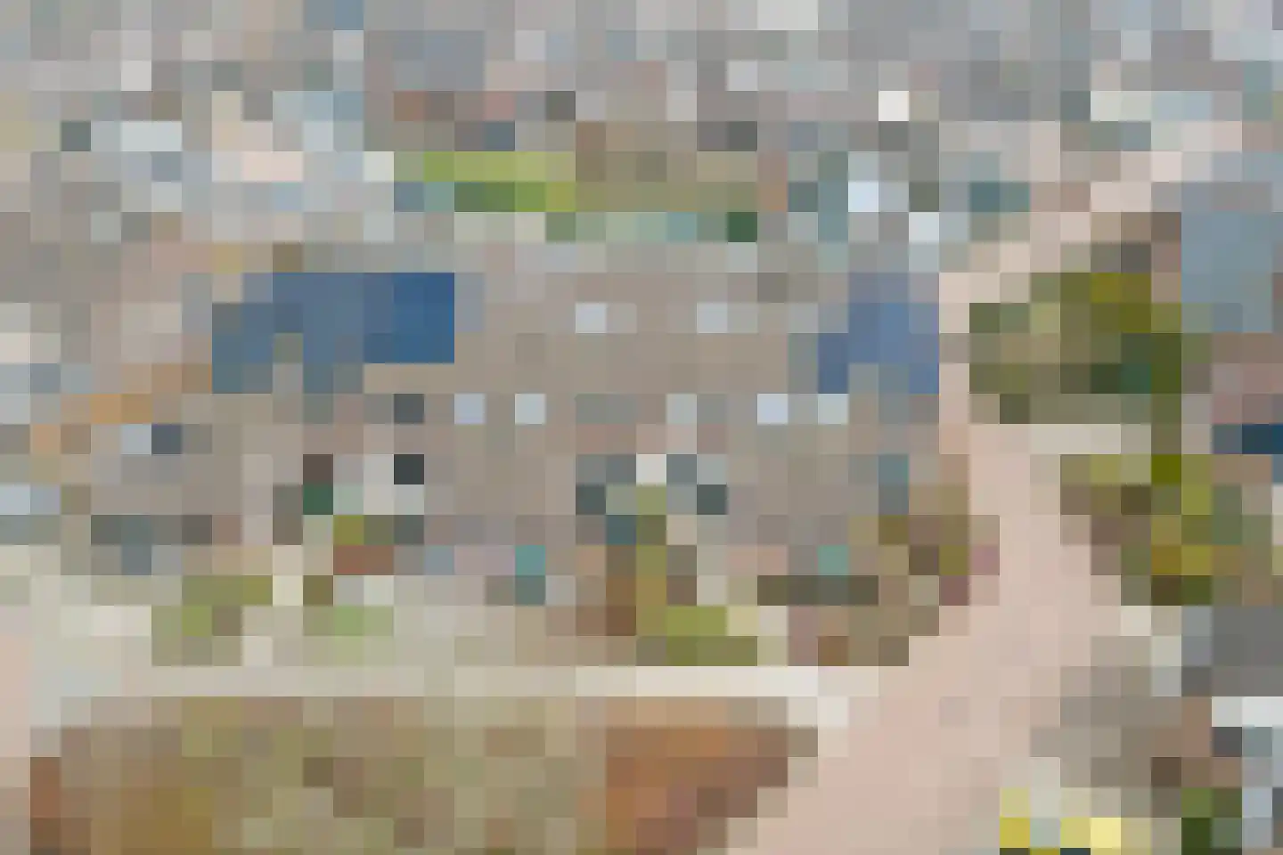 Leviestraat 21 Zuidland thumbnail 35