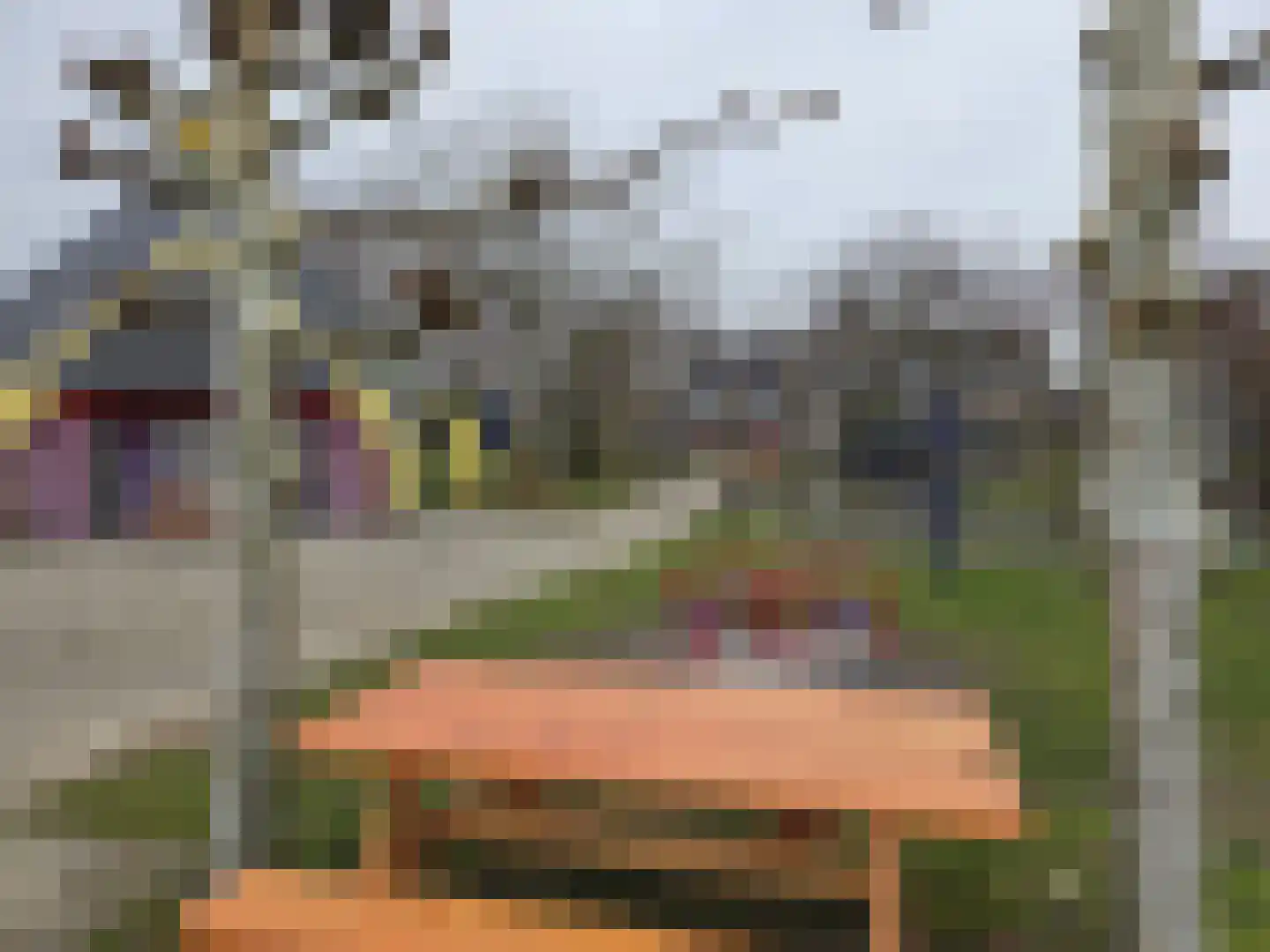 Leviestraat 21 Zuidland thumbnail 36