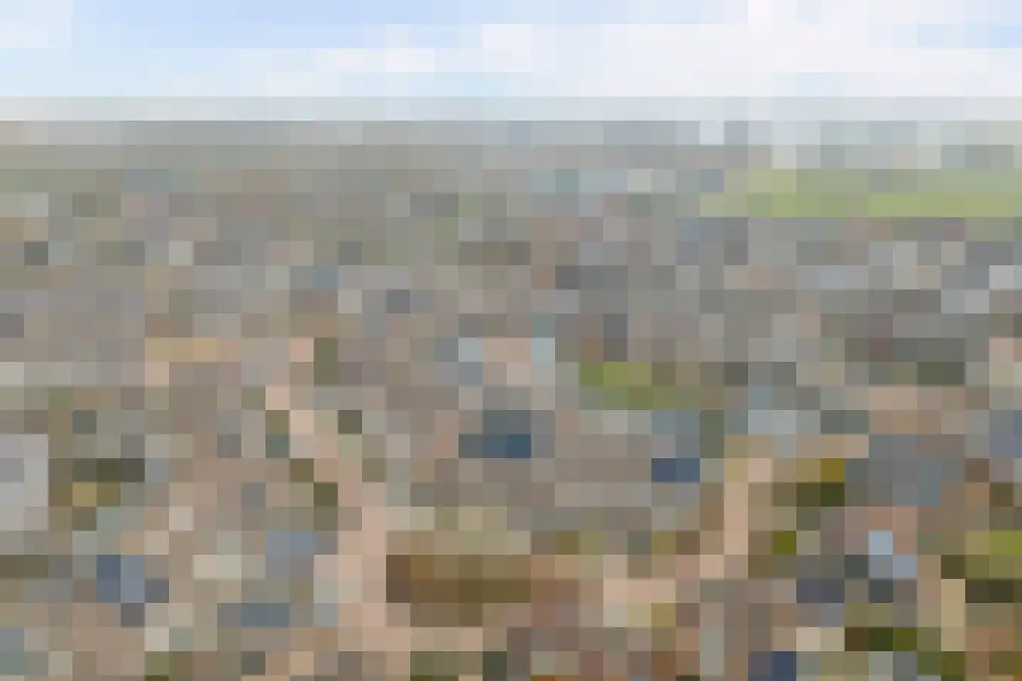 Leviestraat 21 Zuidland thumbnail 41