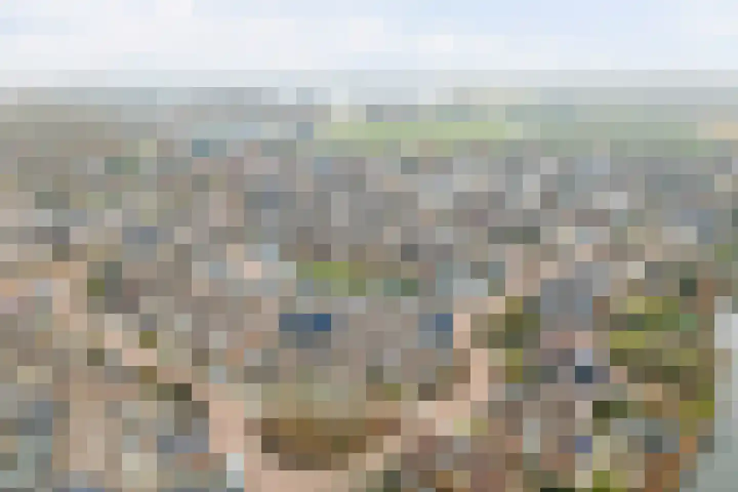 Leviestraat 21 Zuidland thumbnail 42