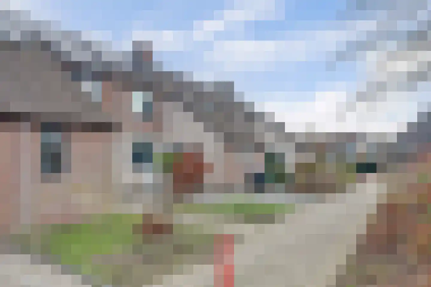 Leviestraat 21 Zuidland thumbnail 47