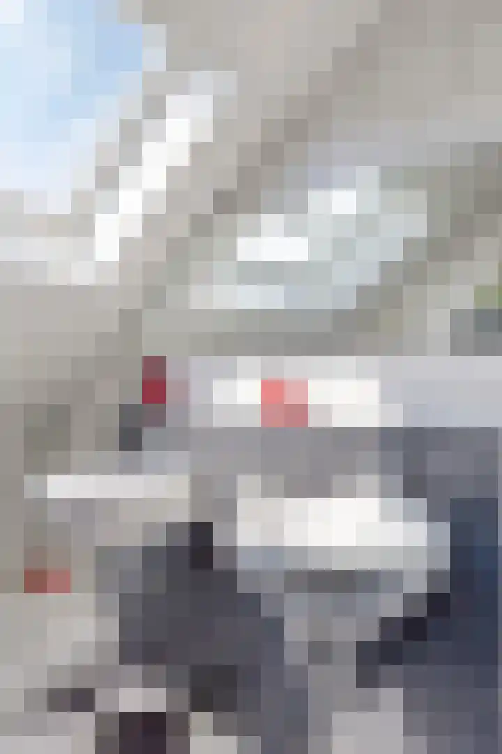 Leviestraat 27 Zuidland thumbnail 33