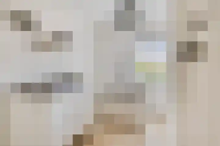 Leviestraat 27 Zuidland thumbnail 39