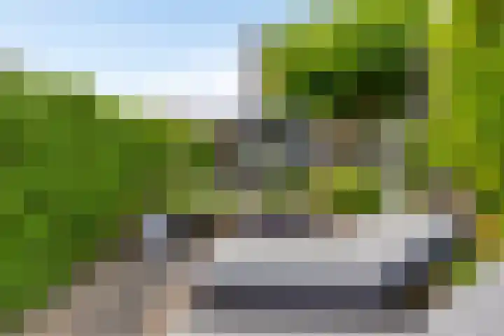 Leviestraat 27 Zuidland thumbnail 43